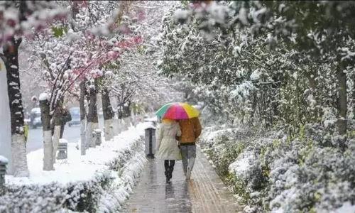 昆明爆料下雪事件最新情况,市民欢声笑语迎瑞雪