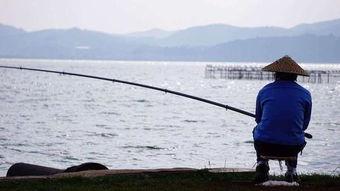 春天钓鱼爆料最新消息,揭秘最新爆料，钓鱼爱好者不容错过的春季钓鱼攻略