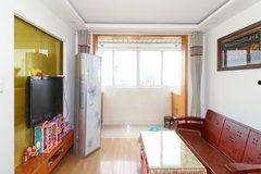 南通虹桥新苑最新爆料,揭秘神秘项目背后的故事