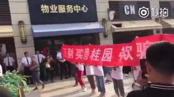 砀山碧桂园爆料最新消息,揭秘项目进展与未来规划