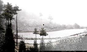 昆明爆料下雪事件最新情况,市民欢声笑语迎瑞雪